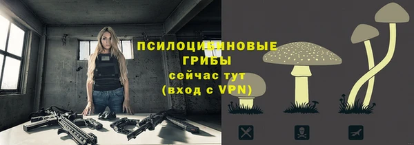 круглые Алексин