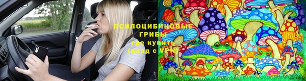 а пвп мука Алзамай